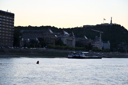 DSC_5980.JPG
