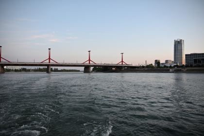 DSC_5982.JPG