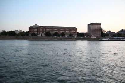 DSC_5984.JPG