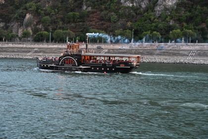 DSC_6005.JPG