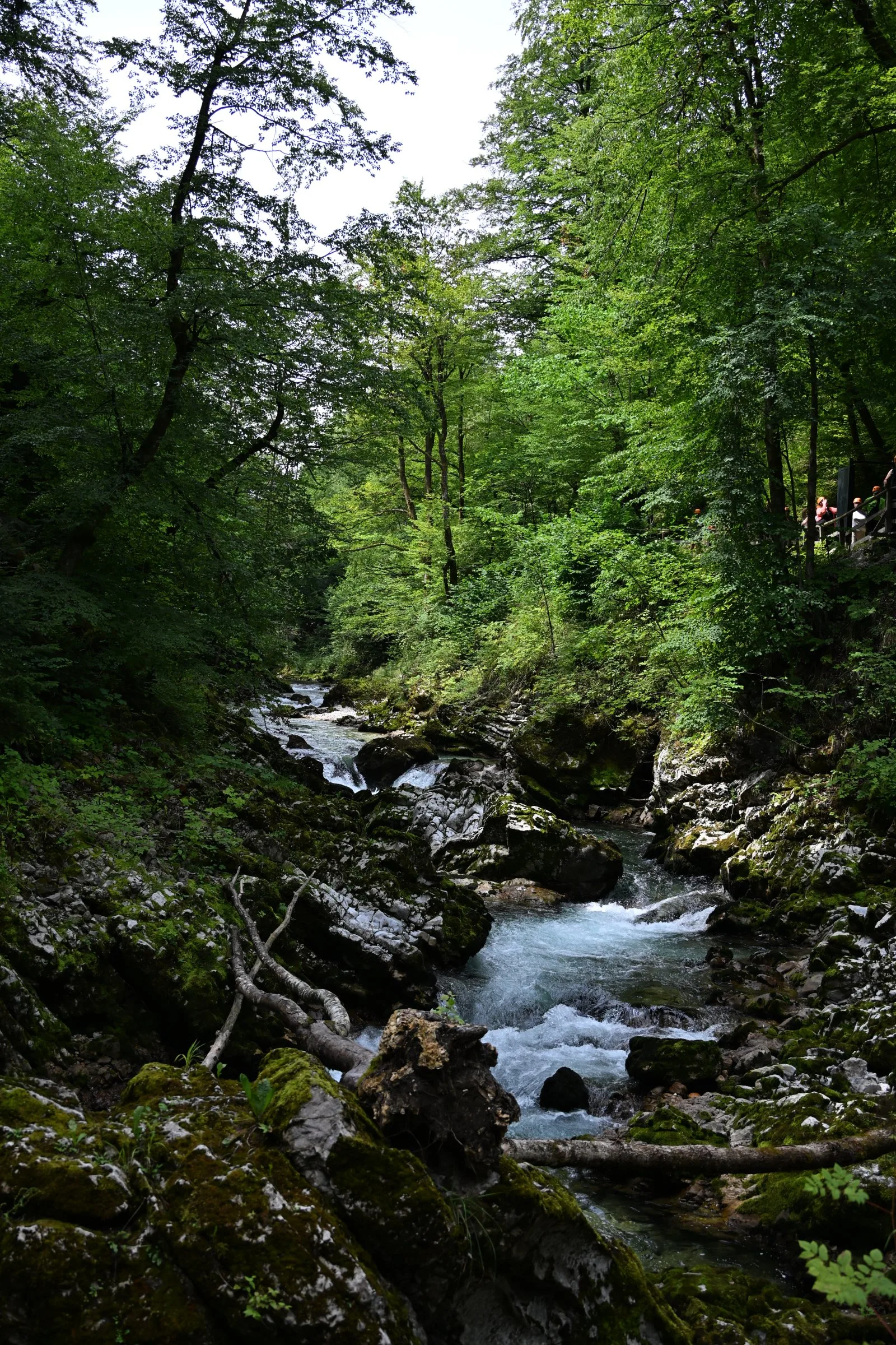 Słowenia